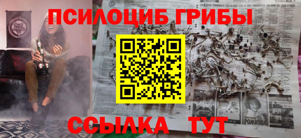 Псилоцибиновые грибы GOLDEN TEACHER Омск