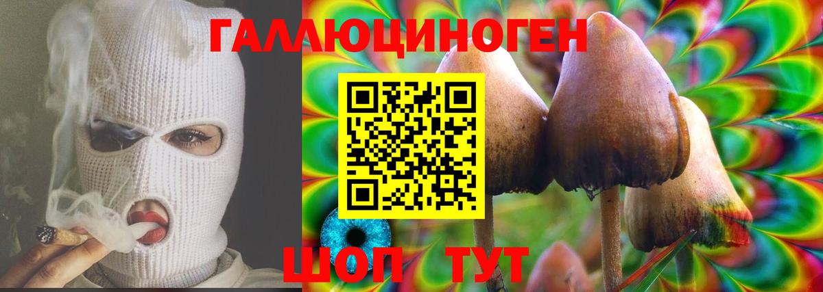 купить закладку  Вход с VPN  Омск  Псилоцибиновые грибы Psilocybine cubensis 
